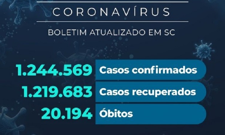 Números da Covid-19 em Santa Catarina 